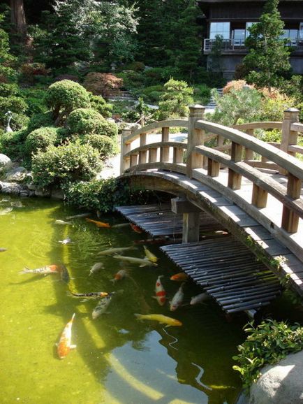 Japán kertek, a blog - adott architektúra