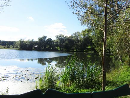 Glauza grea a leului gros, rucsacul călătorului