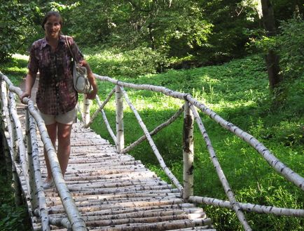 Glauza grea a leului gros, rucsacul călătorului