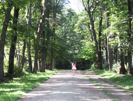 Glauza grea a leului gros, rucsacul călătorului