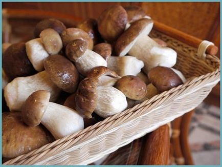 Betakarítás fehér gomba télen, valamint recepteket, hogyan zárja a gombát Russula és svinuhi - eteplitsa (üres) Betakarítás fehér gomba télen, valamint recepteket, hogyan zárja a gombát Russula és svinuhi - eteplitsa