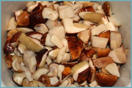 Betakarítás fehér gomba télen, valamint recepteket, hogyan zárja a gombát Russula és svinuhi - eteplitsa