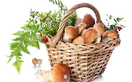 Achiziționarea de ciuperci albe pentru iarnă, precum și rețete pentru cum să acopere ciupercile russula și porcine - un mâncător