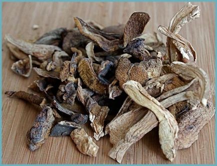 Betakarítás fehér gomba télen, valamint recepteket, hogyan zárja a gombát Russula és svinuhi - eteplitsa (fehér) Betakarítás fehér gomba télen, valamint recepteket, hogyan zárja a gombát Russula és svinuhi - eteplitsa