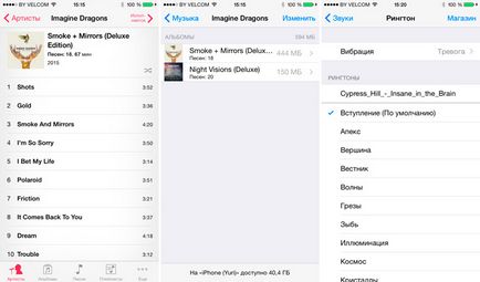 Descărcați orice muzică și video pentru jucători standard ios fără iTunes și convertoare