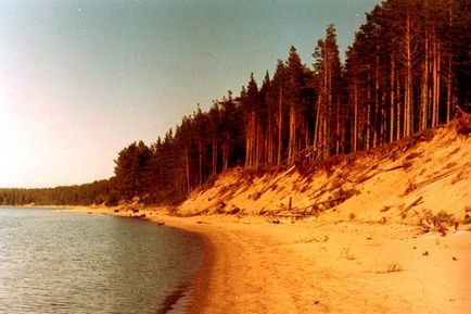 Нотатки практикуючого цілителя - острів коневец, кінь-камінь