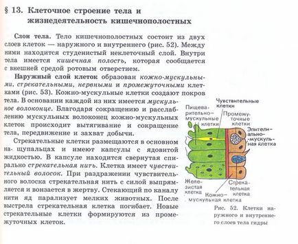 Заповідник «Хомутовський степ»