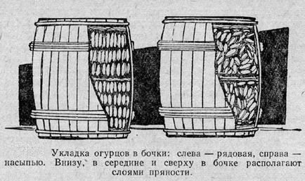 Засолка огірків на зиму в банках в бочці мариновані огірки