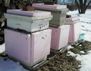 Vierii albinelor care pregătesc stupine, aspecte ale încălzirii stupilor, căilor și caracteristicilor