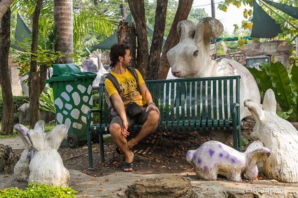 Gradina zoologica din Bangkok - cum am hrănit oile și girafa