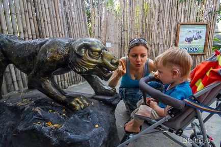 Gradina zoologica din Bangkok - cum am hrănit oile și girafa