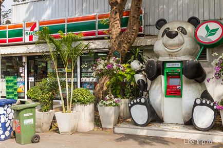 Gradina zoologica din Bangkok - cum am hrănit oile și girafa