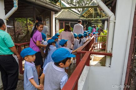 Grădina zoologică din Bangkok - cum am hrănit oile și girafa