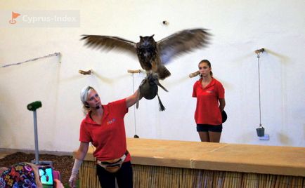 Gradina zoologica din Paphos