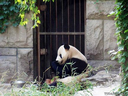 Gradina zoologica din Beijing, precum si o harta a metroului din Beijing - se plimba in jurul capitalei