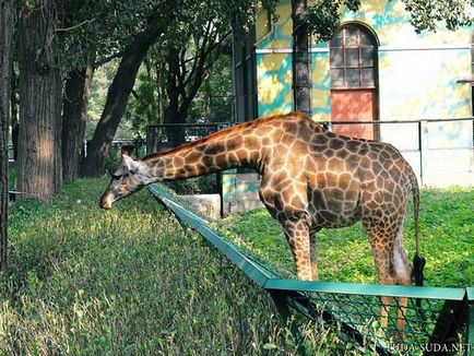 Gradina zoologica din Beijing, precum si o harta a metroului din Beijing - se plimba in jurul capitalei