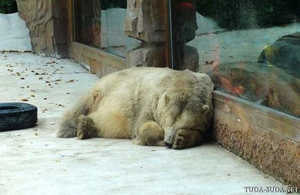 Gradina zoologica din Beijing, precum si o harta a metroului din Beijing - se plimba in jurul capitalei