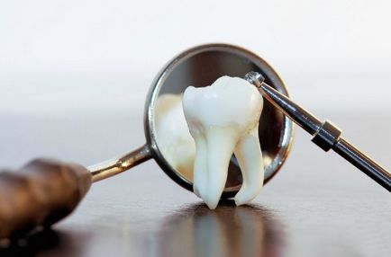 Зуби людини, особливості будови і функції