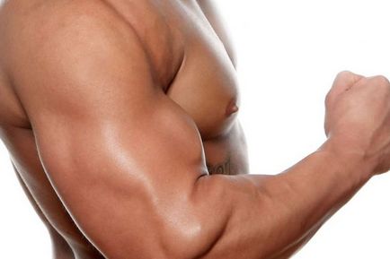 10-те най-интересните факти за мускулна