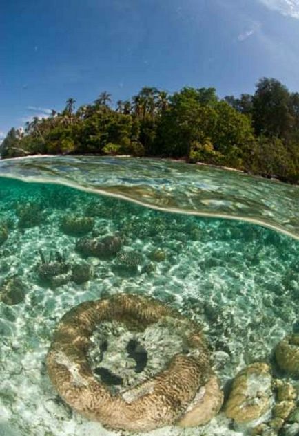 25 legjobb sziget a világon snorkeling és szabadtüdős