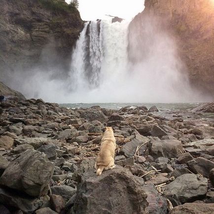 30 fotografii de aventură ale lui Dzhermi și ale lui Pug preferat