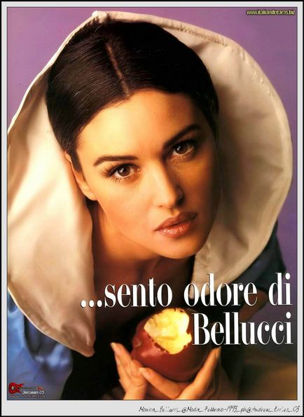 60 de fotografii de înaltă calitate de la fotografiile lui Monica Bellucci în tinerețe