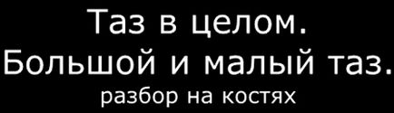 Анатомія таз як ціле, його розміри