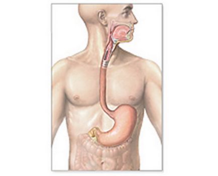 Achalasia esofagului - simptome, cauze, tratament și diagnostic