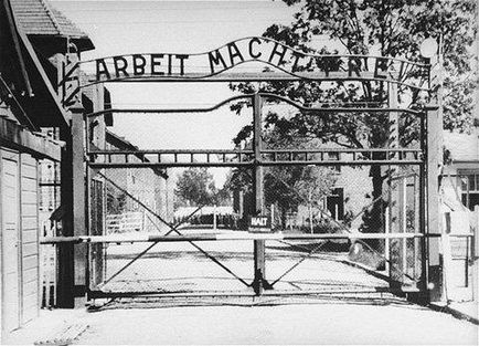 Aibolit Auschwitzból, és az emberek sorsát, mywebs