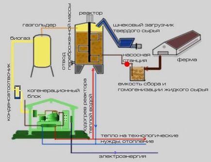 Bioreactor cu mâinile tale