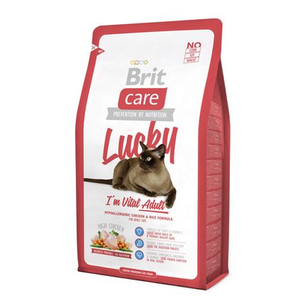 Brit care cat - оновлення лінії сухих кормів для кішок