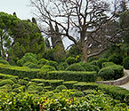 Gyógyító illatok, a világ a növények és fák, a magazin „House and Garden” (Rose) Gyógyító illatok, a világ a növények és fák, a magazin „House and Garden”