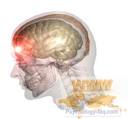 Craniocerebral traumă