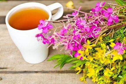 Flower Ivan-tea - fotografie, proprietăți utile, despre trecerea la alimente vii