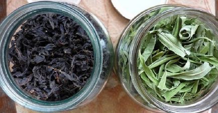 Квітка іван-чай - фото, корисні властивості, про перехід на живу їжу