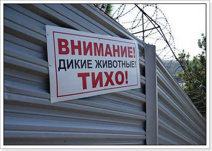 Дача губернатора Ткачова приросла новими ділянками, свобода слова