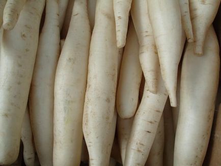 Descrierea și aplicarea Daikon