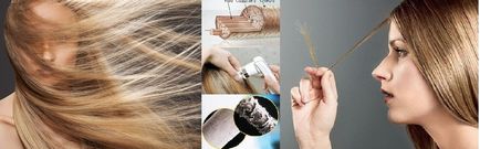 Діагностика волосся і шкіри голови - забезпечить якість будь-перукарських послуг і ефективний