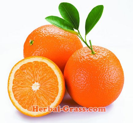 Wild (amar) portocaliu (pomeranian) - utilizare, proprietăți utile, medicinale, contraindicații,