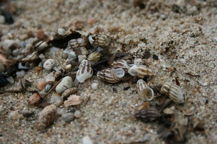 Vad nyaralás Hanka-tó nyaralás a víz a strandon