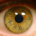 Disztóniás retina angiopátia, és hogyan nyilvánul meg