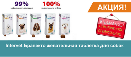 Doglike - o minge pentru câini mare, magazin online de animale de companie zoograf