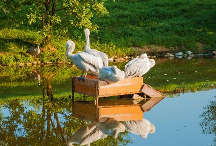 Obiective turistice din regiunea Kaluga