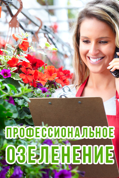 Flori - magazin online de flori, plante și accesorii pentru floricultură acasă la Moscova