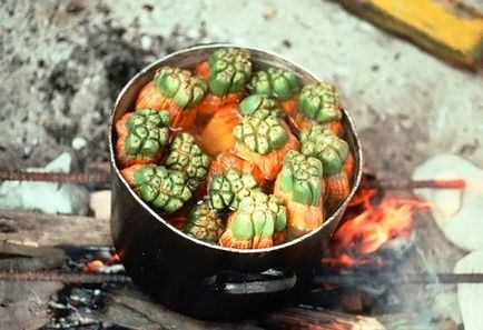 Gyümölcs pandan (pandanus) - útikalauz - a világ gyönyörű!