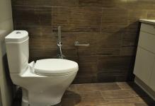 Duș igienic în toaleta vasului de udare cu termostat, instalare mixer de instalare ascunsă și bidet și