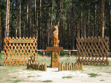 Місто тамбов і його головні визначні пам'ятки з описом і фото