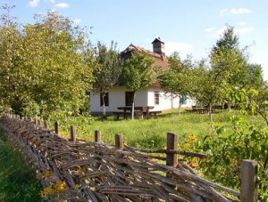 Інкубаційний період ангіни у дітей і дорослих