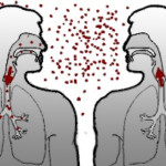 A lappangási idő a mandulagyulladás a felnőttek és gyermekek 1 (felnőtt) A lappangási idő a mandulagyulladás a felnőttek és gyermekek 1