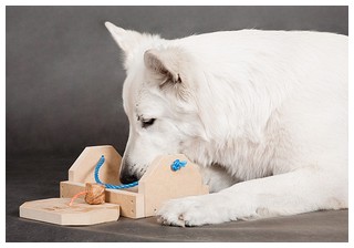 Iq іграшки - розвиваючі іграшки для собак